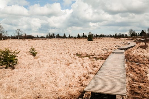 The High Fens, Hoge Venen, Belgium, Signal Van Botrange