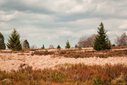 The High Fens, Hoge Venen, Belgium, Signal Van Botrange