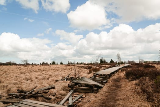 The High Fens, Hoge Venen, Belgium, Signal Van Botrange