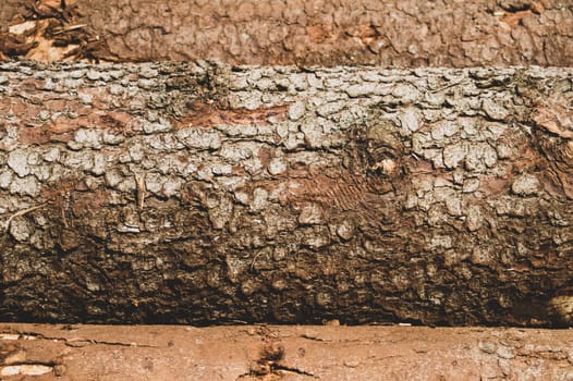 Pile of wooden logs texture. timber background. untreated wood