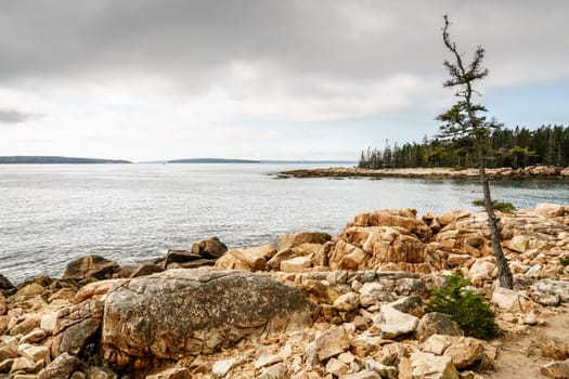Rocky coastline in Acadia National Park in Maine