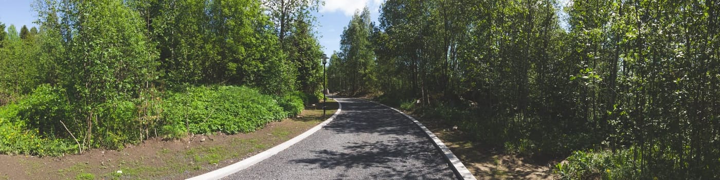 Footpath in the park. pathway with curbstone. green plants and trees. summer day. panoramic view