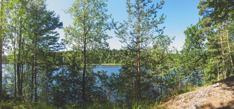 Forest lake behind the trees panorama. green foliage. summer day