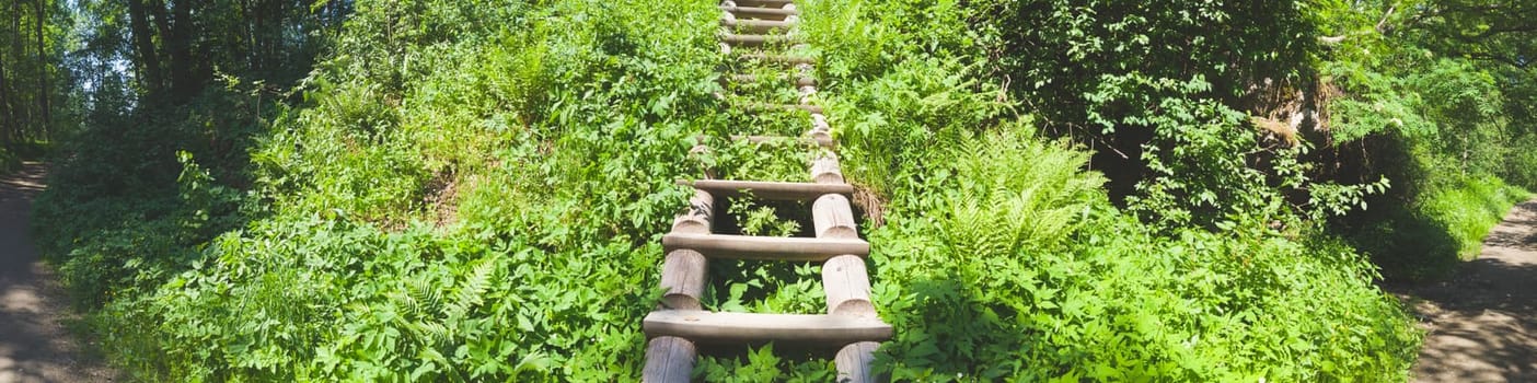 Wooden staircase in dense foliage. overgrown ladder made of wood. beautiful landscape in the park. path to the top of the hill