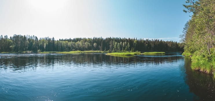 Forest lake panorama. water surface with ripples. summer day