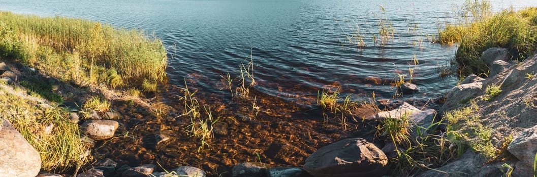 Pond with water plants. shore with stones and grass. water surface with ripples