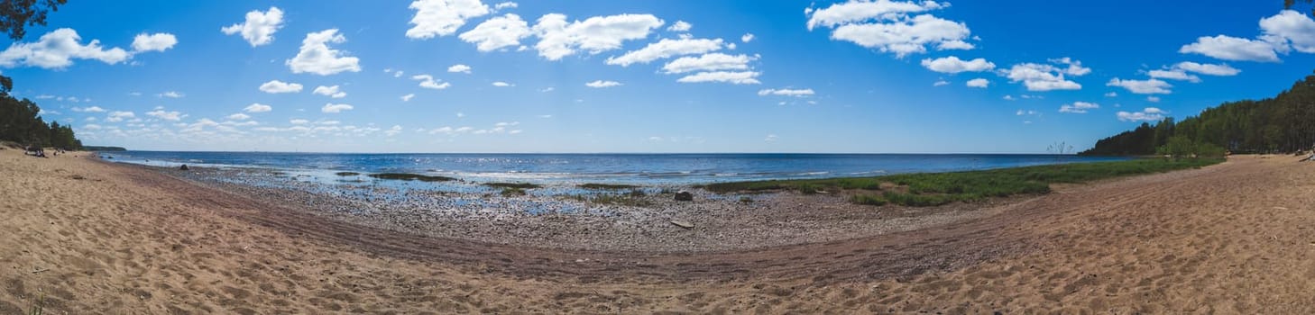 Sea shore. coastline panorama. seascape with horizon line. overgrown coast. sky with clouds