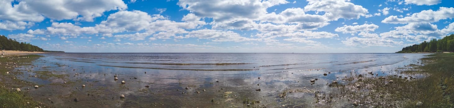 Marshy sea shore. coastline panorama. coast with silt. seascape with horizon line. sky with clouds