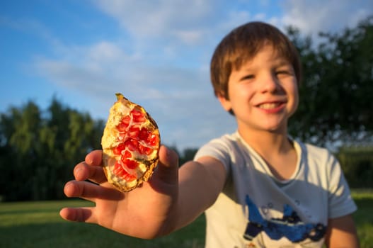 Child boy shows open fresh pomegranate. Pomegranate trees behind