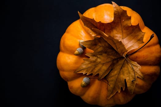 An orange pumpkin with leaves and acorns on a black background. High quality photo