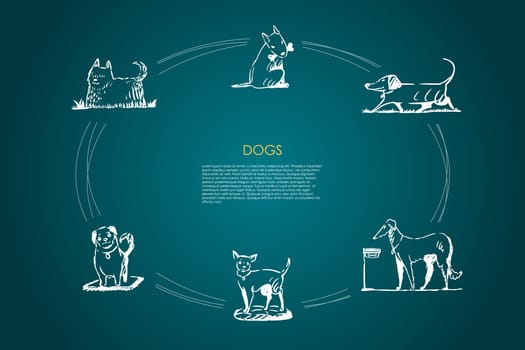 Dogs - different dog breeds walking, eating from bowl, playing with bone, sitting on grass vector concept set. Hand drawn sketch isolated illustration