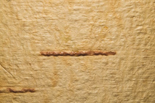 Birch bark macro texture. wooden background