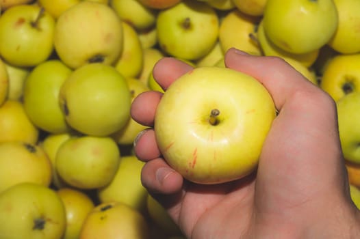 Apple in the hand. fresh fruits. organic healthy food. vegetarian nutrition