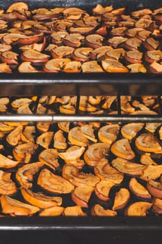 Dried apple slices in the oven. organic healthy food. vegetarian nutrition