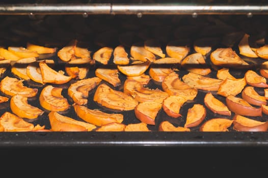 Dried apple slices in the oven. organic healthy food. vegetarian nutrition