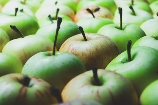 Many apples background. fresh fruits. organic healthy food. vegetarian nutrition