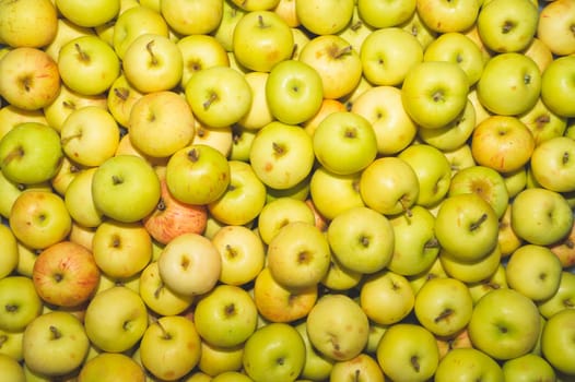Many apples background. fresh fruits. organic healthy food. vegetarian nutrition