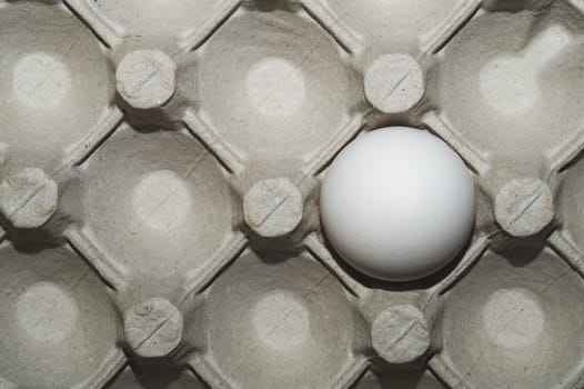 White egg in carton box background. food ingredient. protein nutrition. healthy breakfast. poultry egg