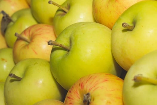 Many apples background. fresh fruits. organic healthy food. vegetarian nutrition