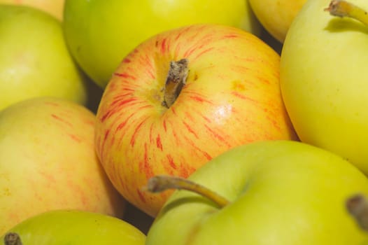 Many apples background. fresh fruits. organic healthy food. vegetarian nutrition