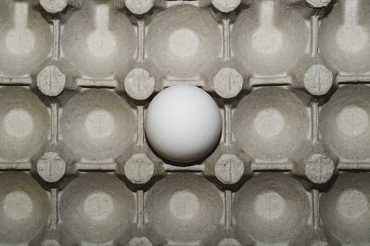 White egg in carton box background. food ingredient. protein nutrition. healthy breakfast. poultry egg