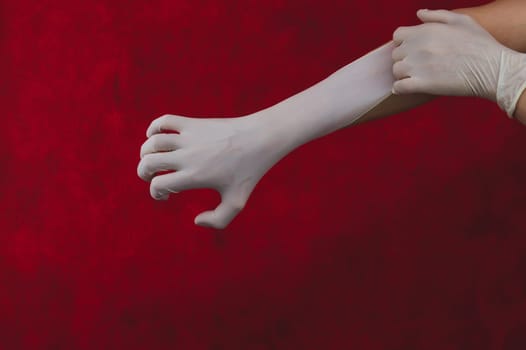 Hands in white medical gloves. person puts on surgical gloves on a red background