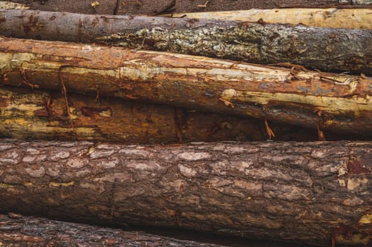 Pile of wooden logs texture. timber background. untreated wood