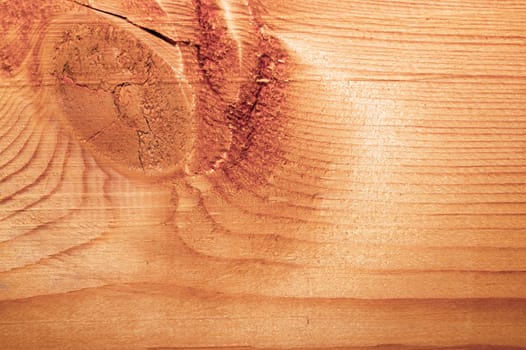Old wood texture. wooden background