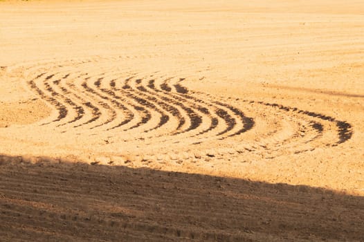 Pattern of curved ridges and furrows on a sandy field. traces on the sand. tractor tracks