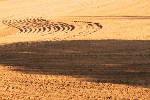 Pattern of curved ridges and furrows on a sandy field. traces on the sand. tractor tracks