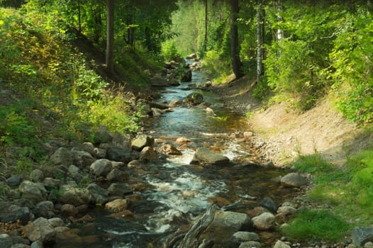 Rocky creek in the forest. river with rocks. dense overgrown forest with flowing stream nature background