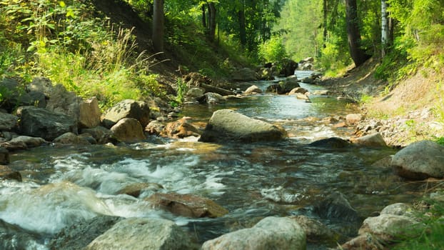 Rocky creek in the forest. river with rocks. dense overgrown forest with flowing stream nature background