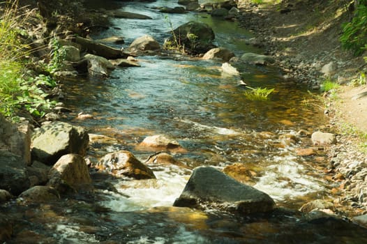 Rocky creek in the forest. river with rocks. dense overgrown forest with flowing stream nature background