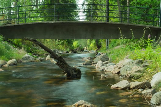 Rocky creek in the forest. river with rocks. dense overgrown forest with flowing stream under a small bridge nature background