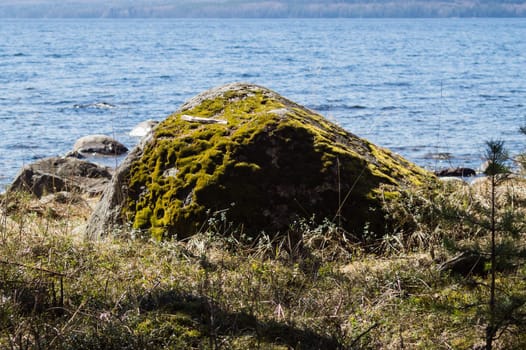 Stone with moss on the shore. mossy boulder by the lake