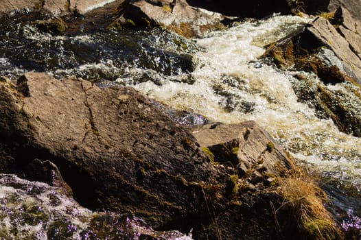 Waterfall nature background. rushing stream water. rocky flowing river