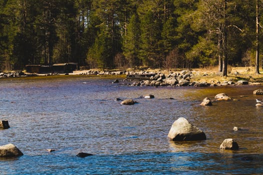 Rocky shore of the lake in the morning. spring landscape