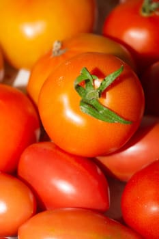 Tomatoes background. organic vegetables. healthy food vegetarian nutrition