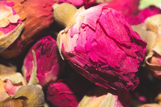 Dried rose buds close up. herbal tea ingredient