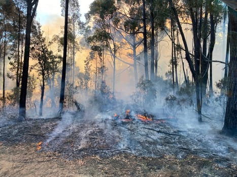 The ground burning after a hazard reduction burn