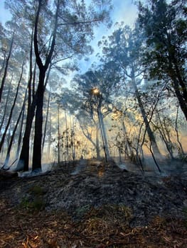 The ground burning after a hazard reduction burn