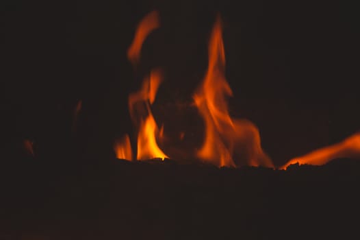 Burning wood in the fire. flame in the fireplace