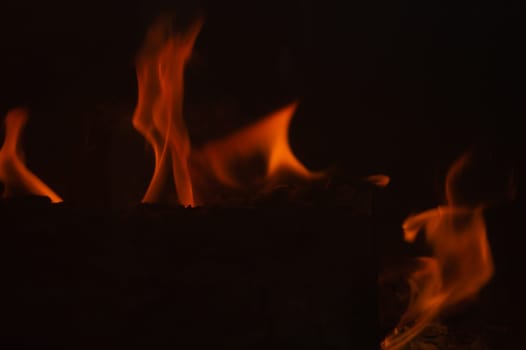 Burning wood in the fire. flame in the fireplace