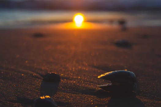 Wet sand on the beach at the evening. golden sunset over the sea