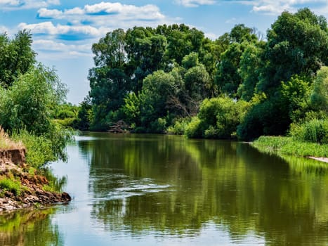 River flow of water along the steep bank. Reflection in water. Trees with green leaves. Blue sky with white clouds. Summer season. Coastline. Heavenly horizon. Backyard landscape.