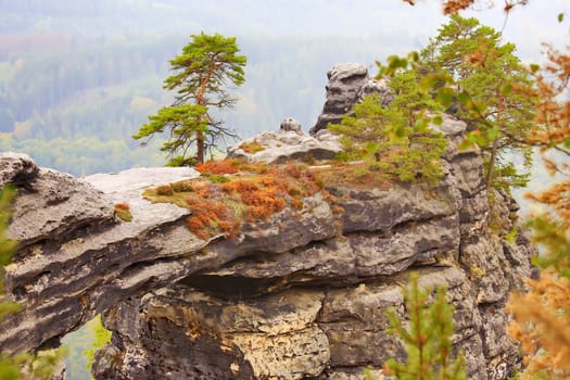 Prebischtor in Bohemian Switzerland is a natural wonder and was created by erosion