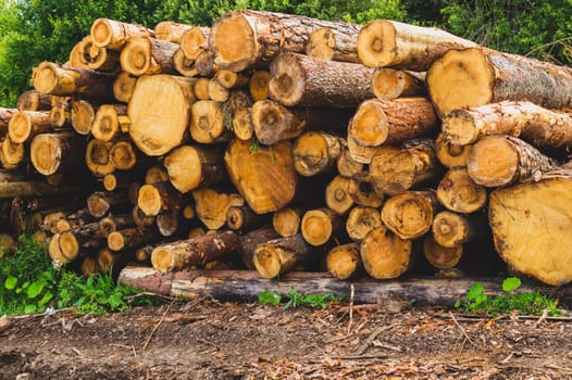 Stack of logs. natural wooden background with timber cuts. log wall