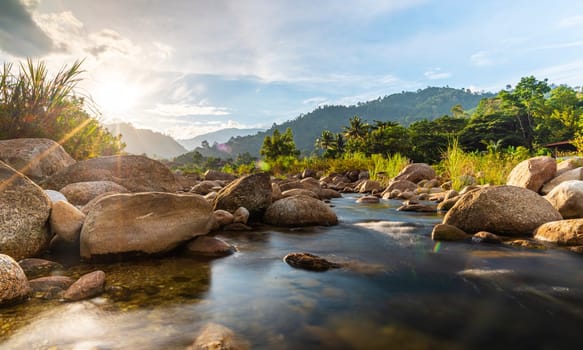 River stone and tree with sun beam, View water river tree, Stone river and sun ray in forest