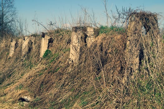 Overgrown ruins in the forest. old abandoned construction. rural landscape