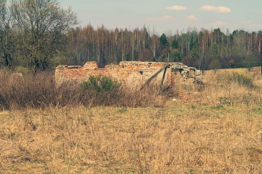 Old abandoned building in the forest. ruined cowshed. rural landscape
